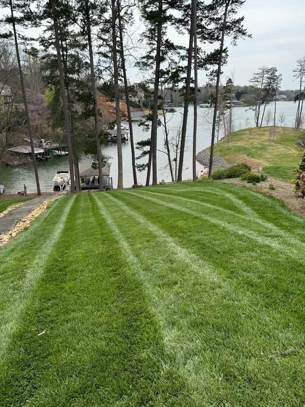 Weed control spraying in Hickory, NC by Oasis Property Management
