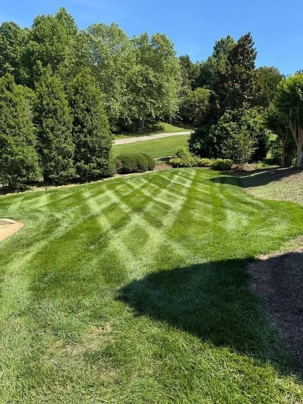 Property care in Hickory, NC by Oasis Property Management