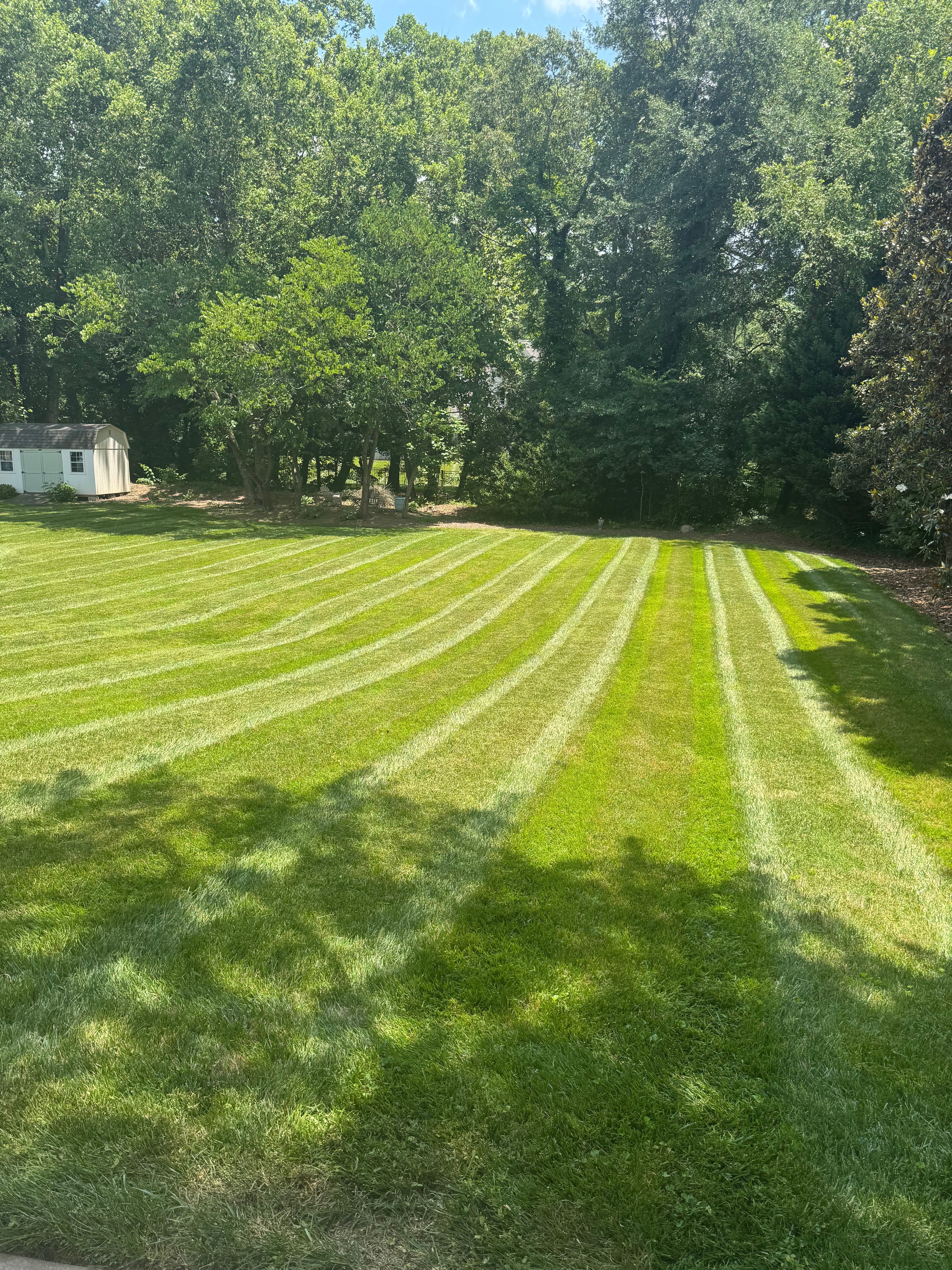 Lawn maintenance in Hickory, NC by Oasis Property Management